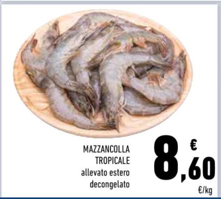 Mazzancolla Tropicale