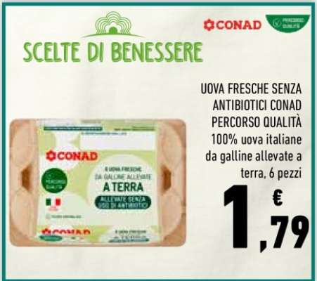 Uova Fresche Senza Antibiotici Conad Percorso Qualità
