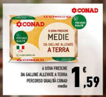 6 Uova Fresche