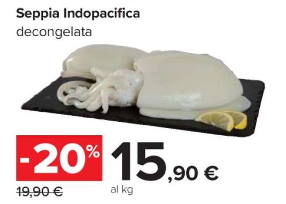 Seppia Indopacifica