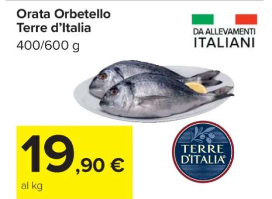 Orata Orbetello Terre d’Italia