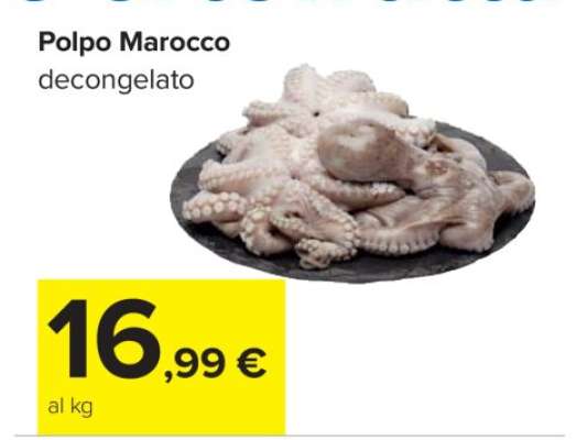 Polpo Marocco