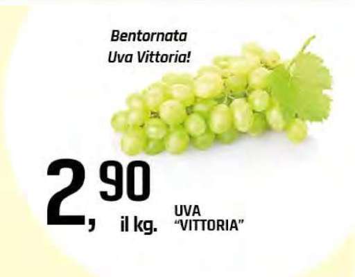 Uva Vittoria