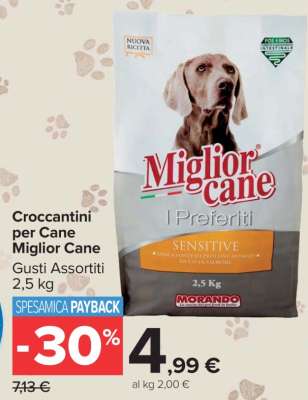 Croccantini per Cane Miglior Cane