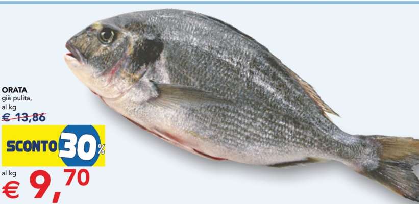 Orata