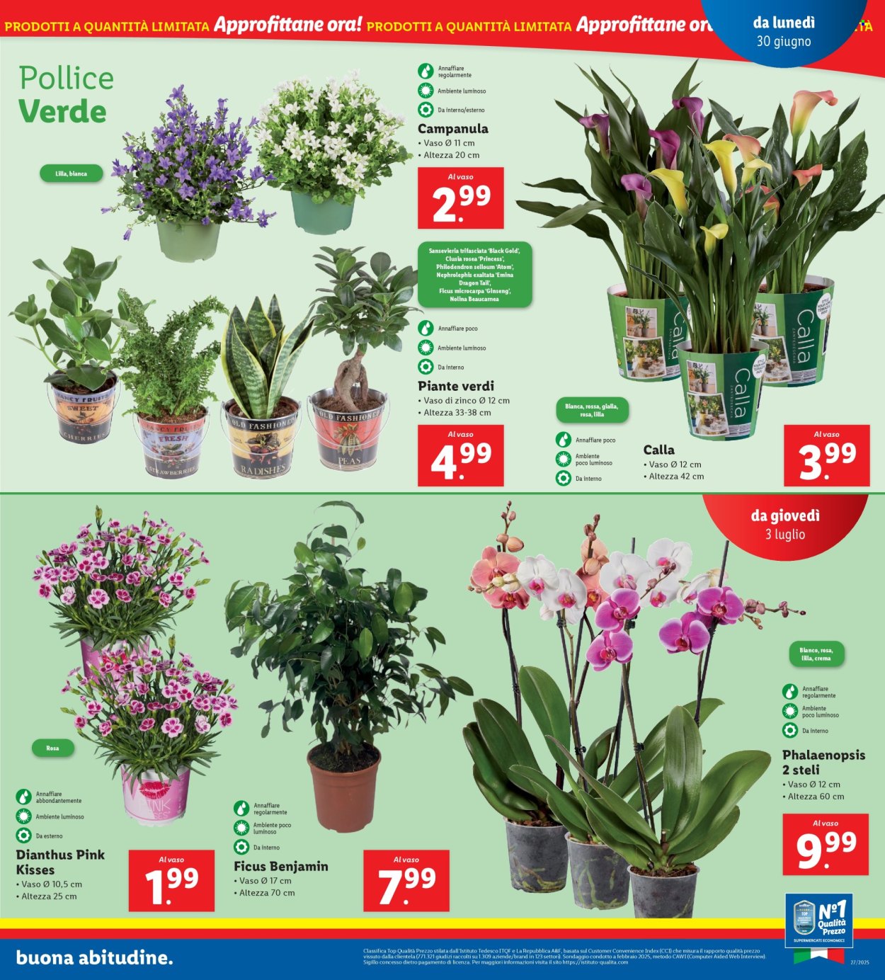 Volantino Lidl - 30/6/2025 - 6/7/2025. Pagina 13