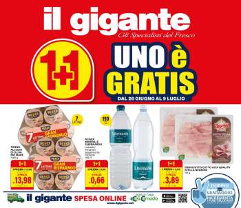 Volantino Il Gigante - 26/6/2025 - 9/7/2025.