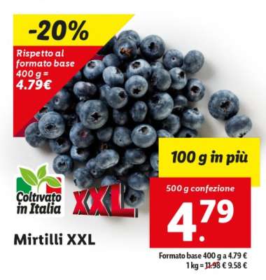 Mirtilli XXL
