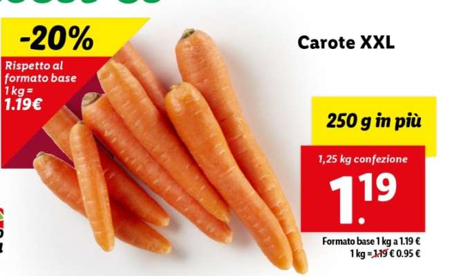 Carote XXL