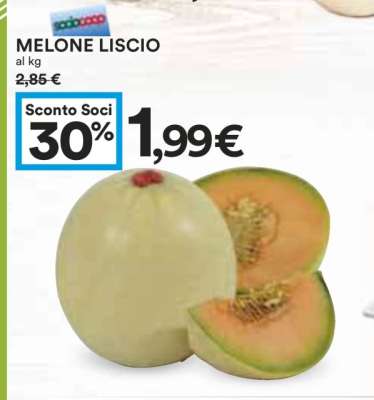 Melone Liscio