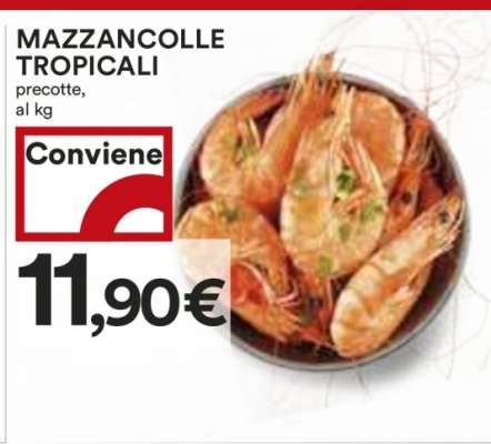 MAZZANCOLLE TROPICALI