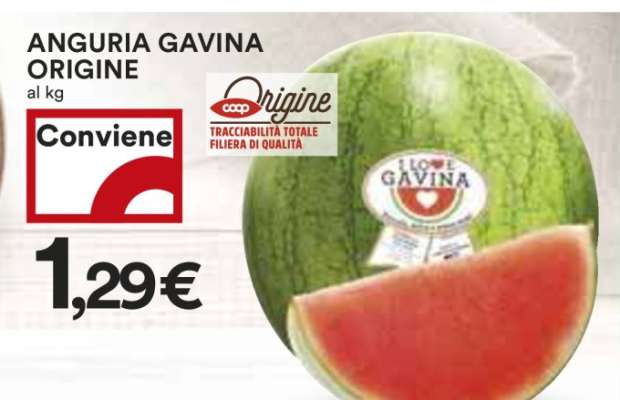 ANGURIA GAVINA