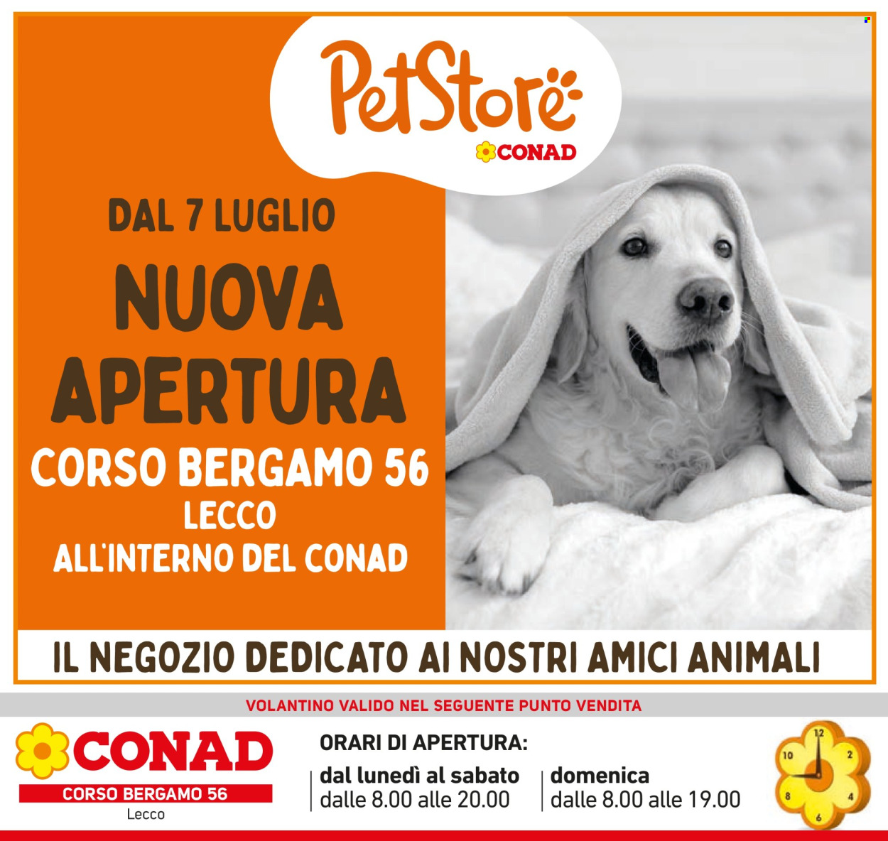 Volantino Conad - 2/7/2025 - 15/7/2025. Pagina 38