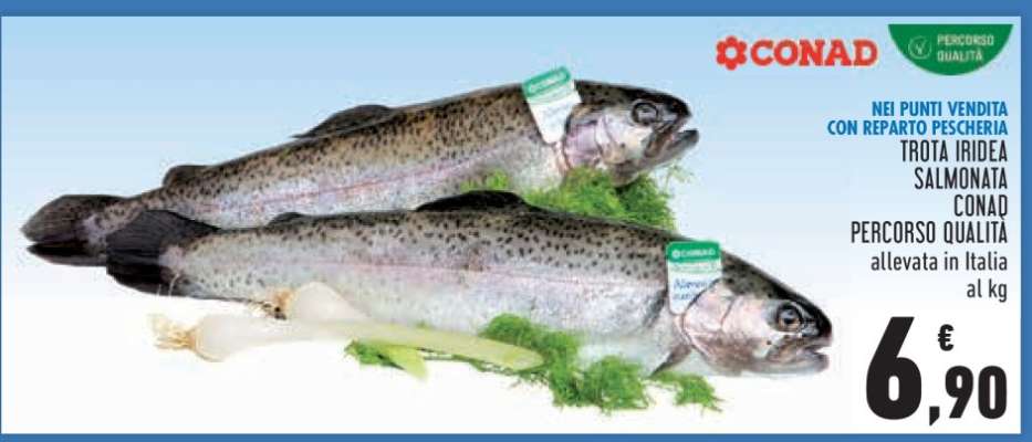 Trota Iridea Salmonata