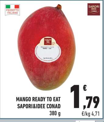 MANGO READY TO EAT SAPORI&IDEE CONAD