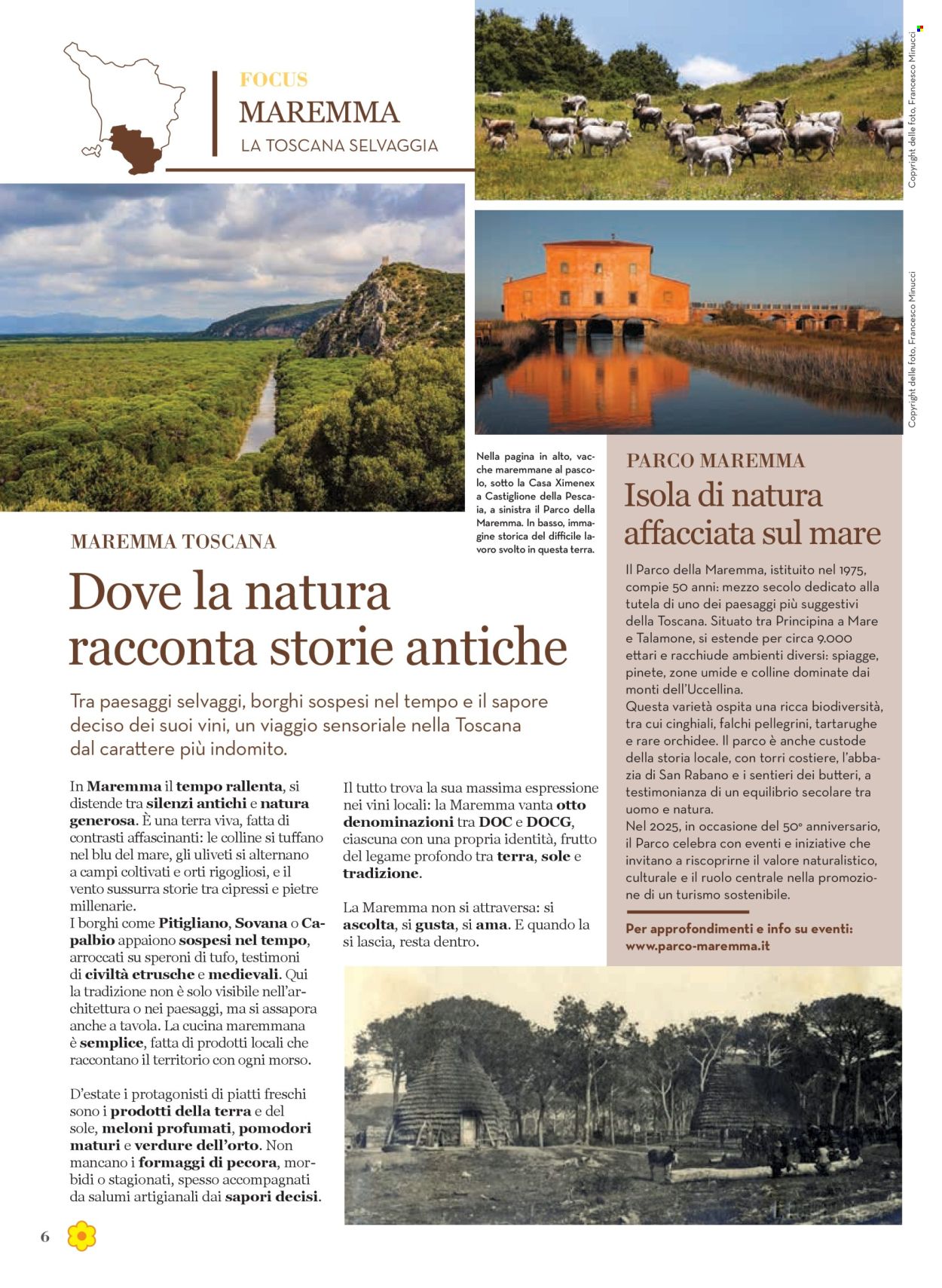 Volantino Conad - 31/7/2025 - 13/8/2025. Pagina 6
