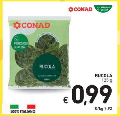 Rucola