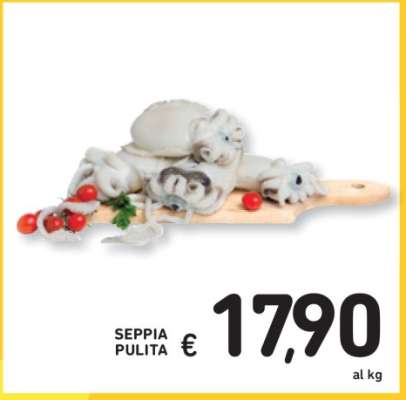 SEPPIA PULITA