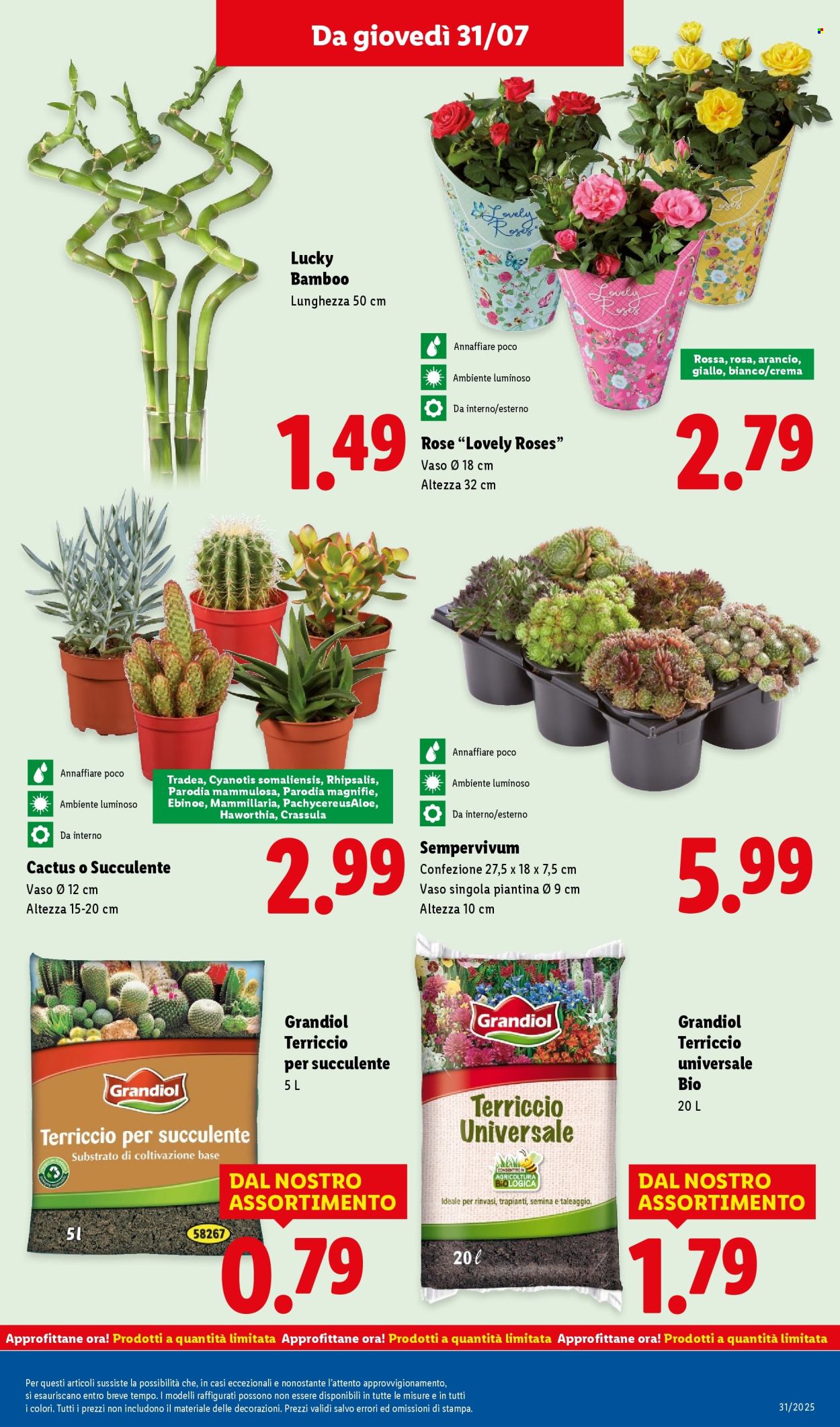 Volantino Lidl - 28/7/2025 - 3/8/2025. Pagina 33