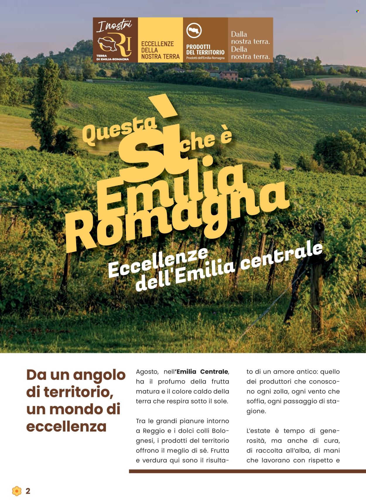 Volantino Conad - 31/7/2025 - 13/8/2025. Pagina 2