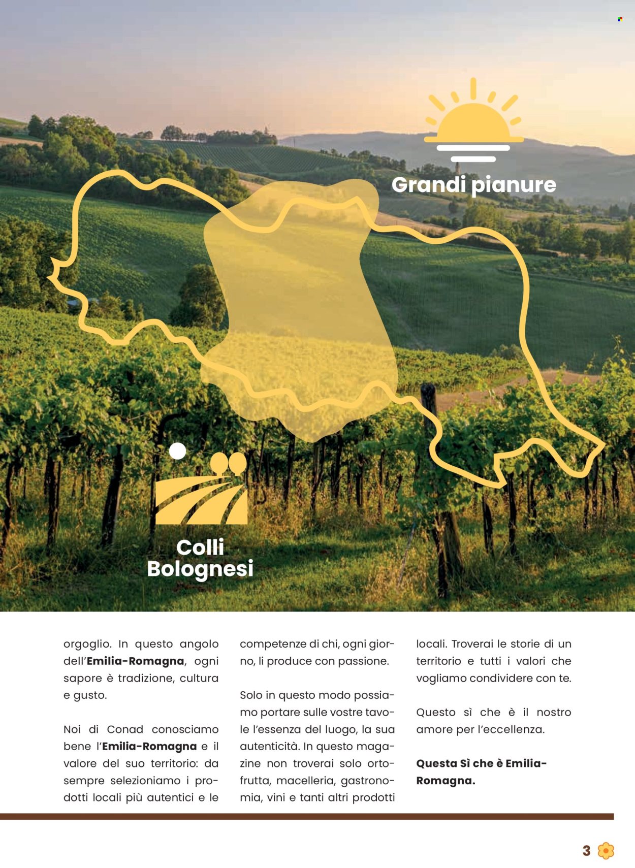 Volantino Conad - 31/7/2025 - 13/8/2025. Pagina 3