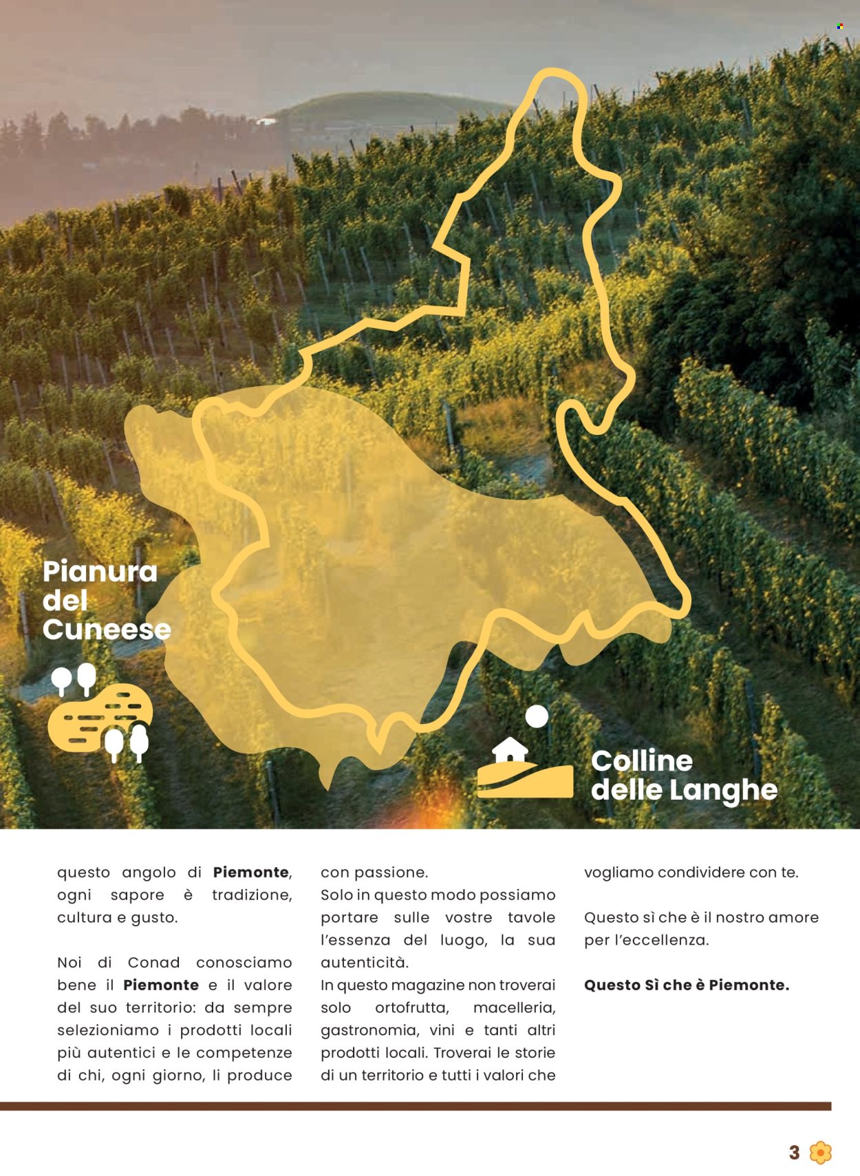Volantino Conad - 31/7/2025 - 13/8/2025. Pagina 3