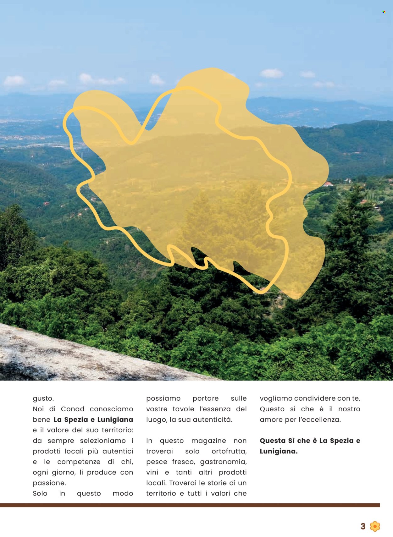 Volantino Conad - 31/7/2025 - 13/8/2025. Pagina 3