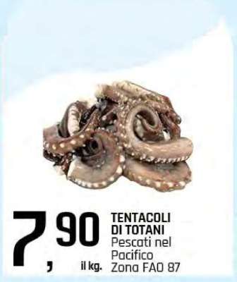 Tentacoli di totani