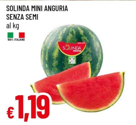 SOLINDA MINI ANGURIA SENZA SEMI