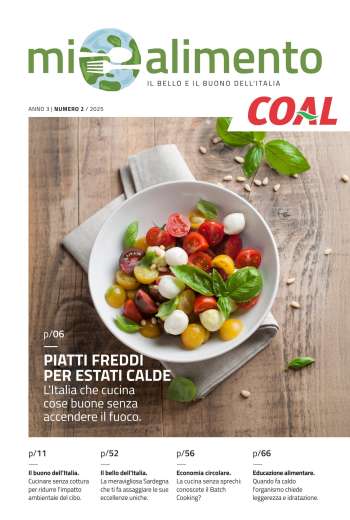 Volantino COAL.