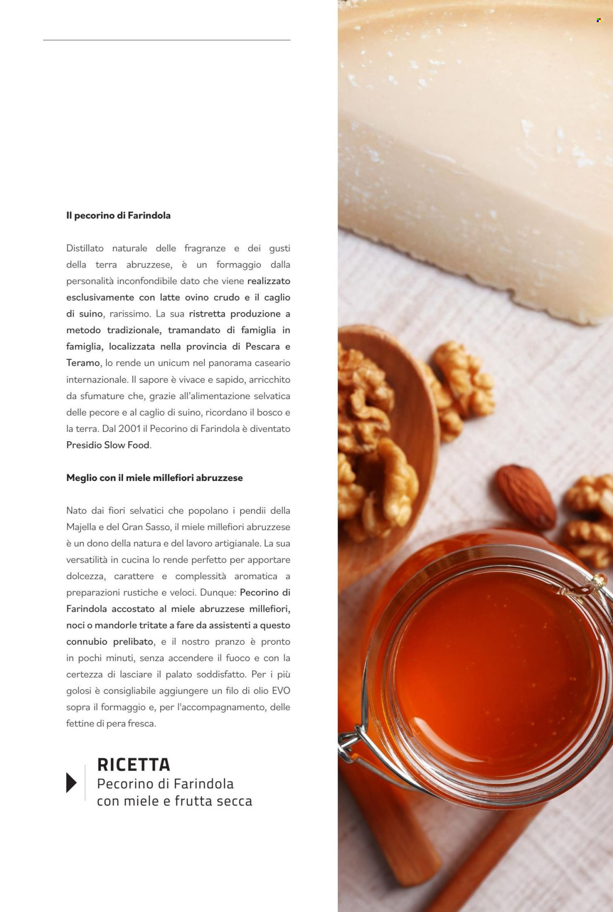 Volantino COAL. Pagina 13