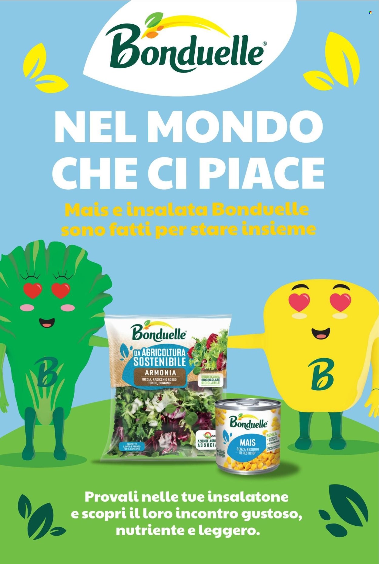 Volantino COAL. Pagina 14