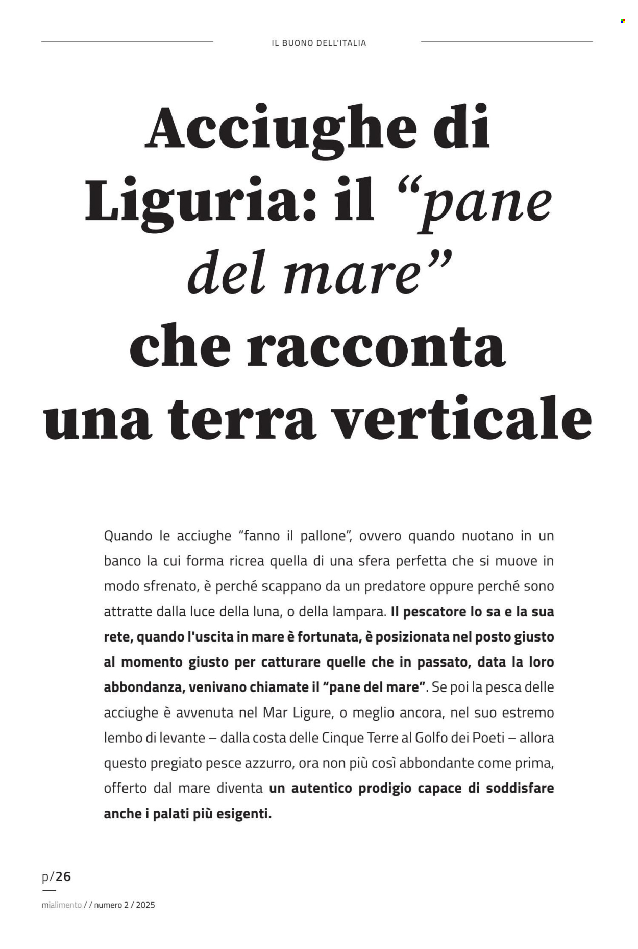 Volantino COAL. Pagina 26