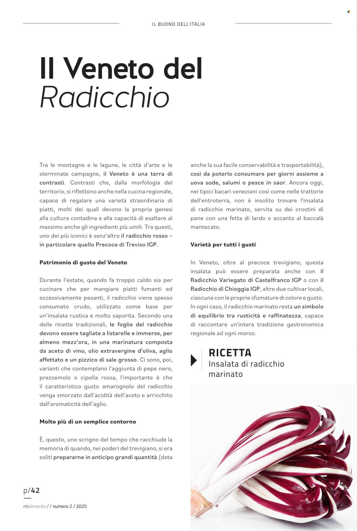 Volantino COAL. Pagina 42