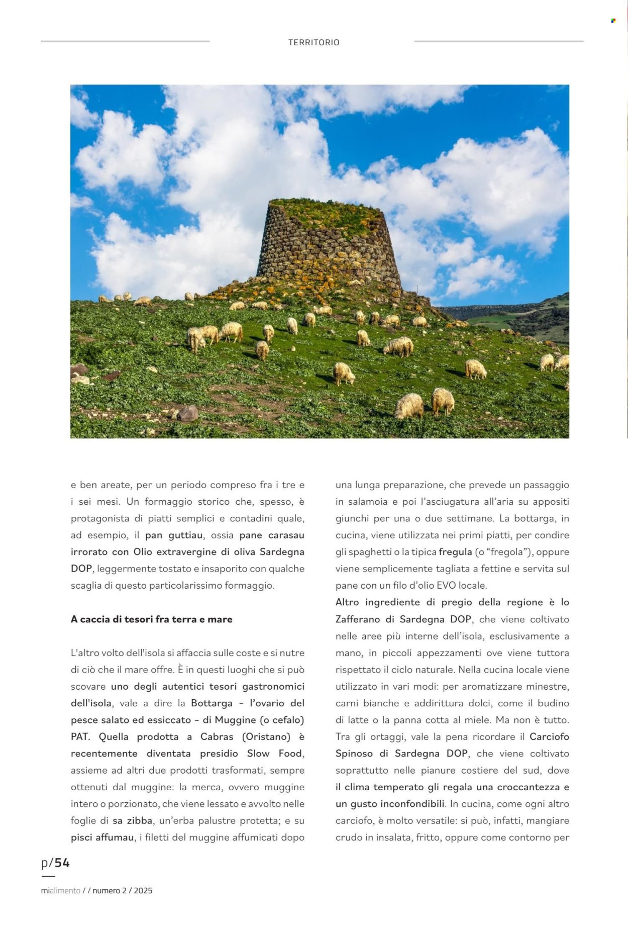 Volantino COAL. Pagina 54