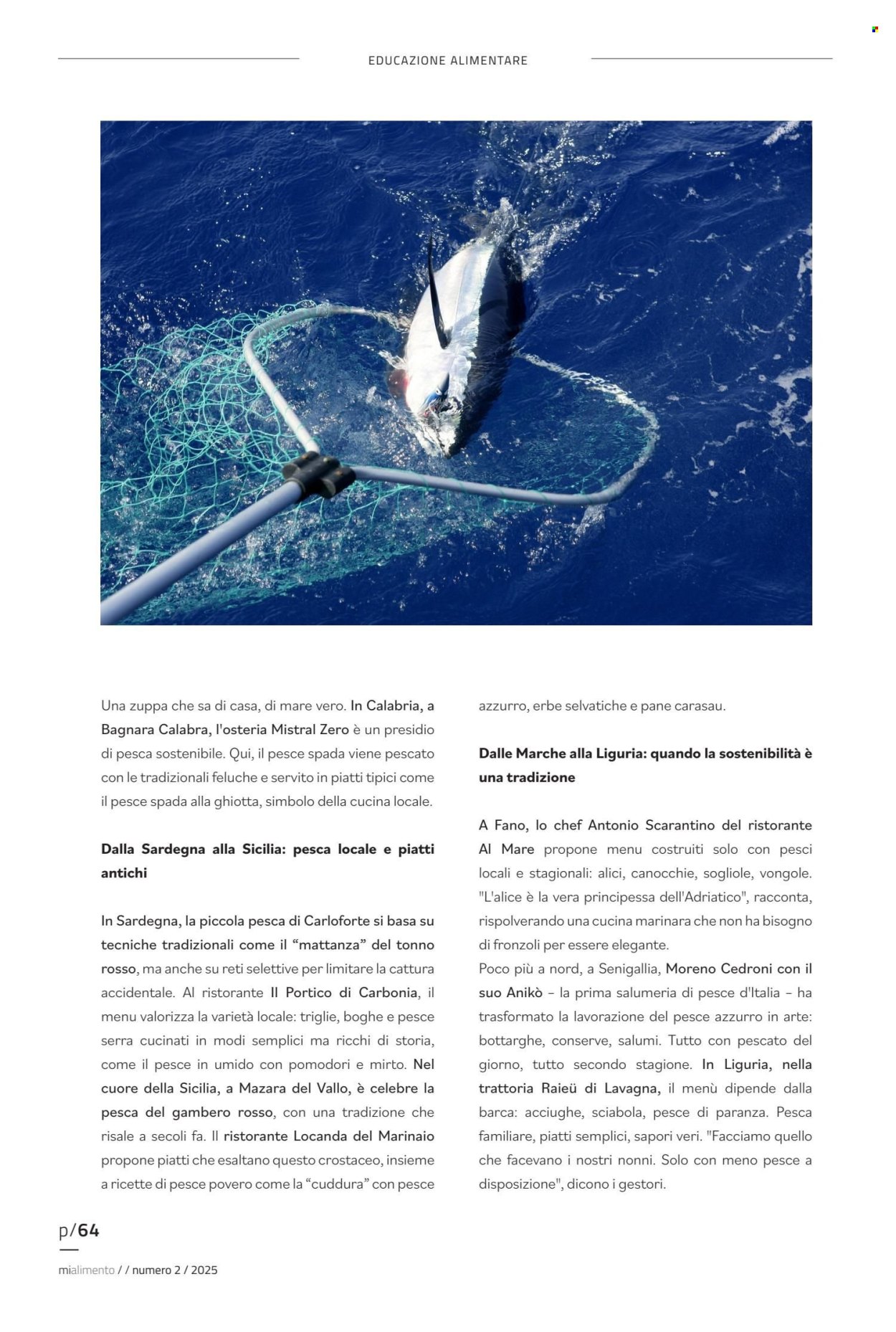 Volantino COAL. Pagina 64