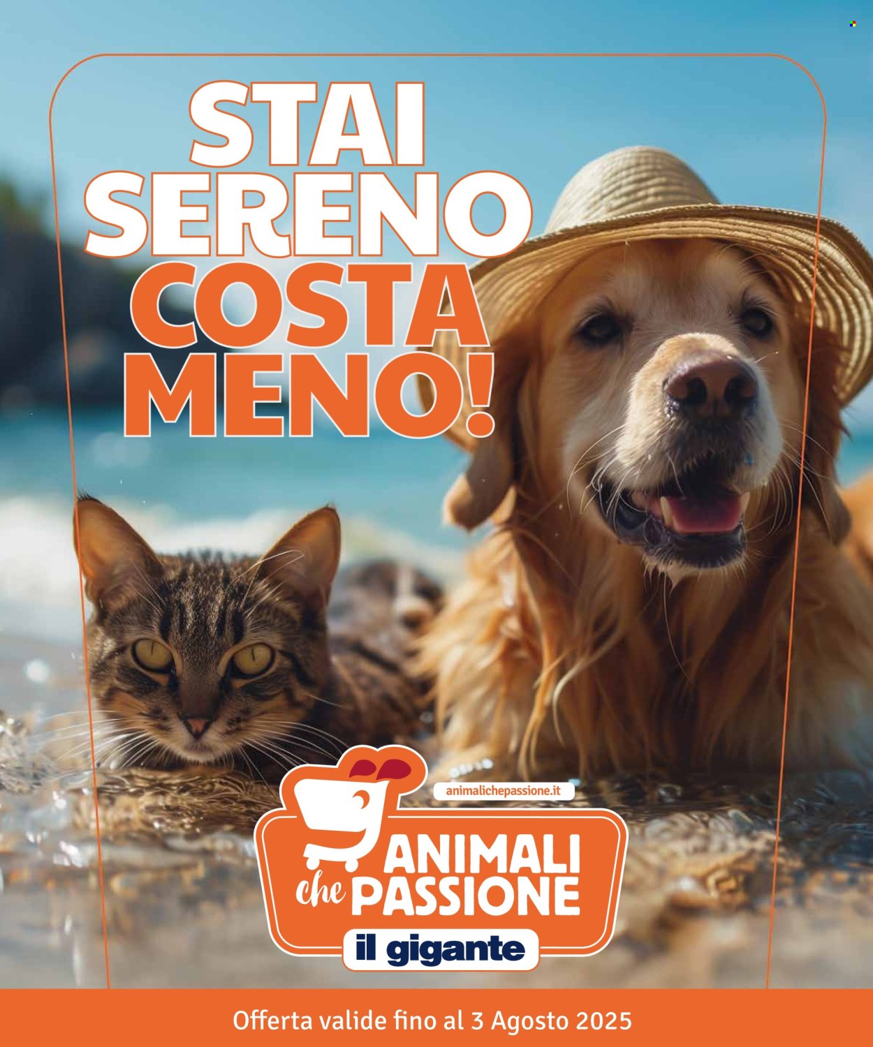 Volantino Il Gigante. Pagina 1