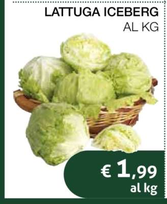Lattuga Iceberg