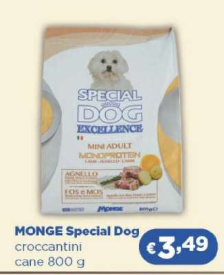 MONGE Special Dog