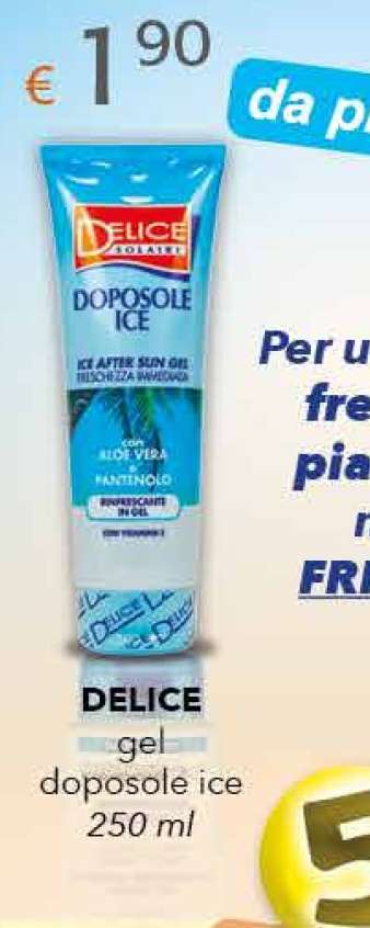 DELICE gel doposole ice 250 ml