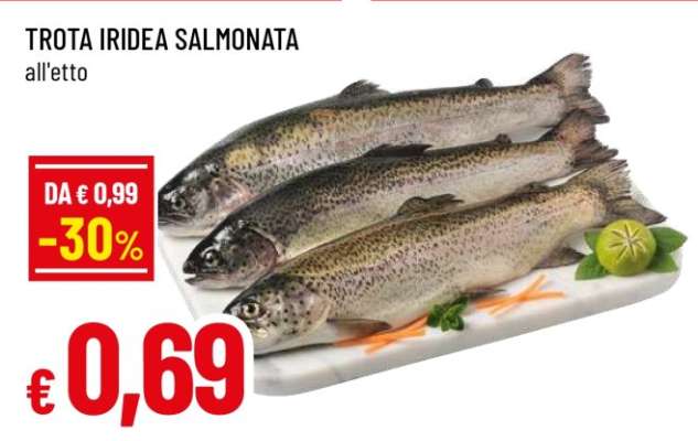 Trota Iridea Salmonata