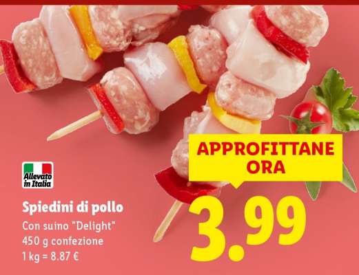 SPIEDINI DI POLLO
