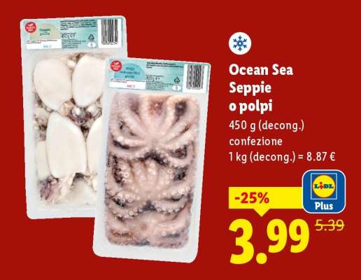 Ocean Sea Seppie o polpi