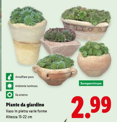 Piante da giardino