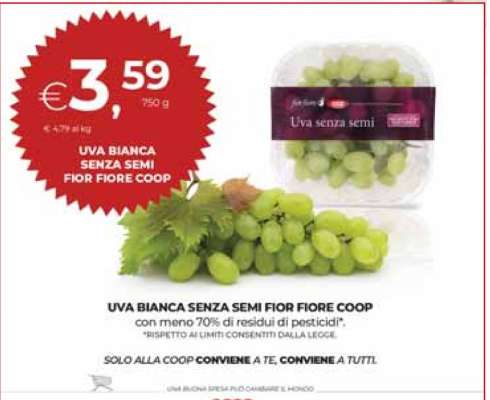 UVA BIANCA SENZA SEMI FIOR FIORE COOP