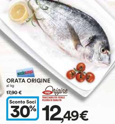 Orata Origine