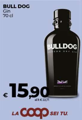 BULL DOG