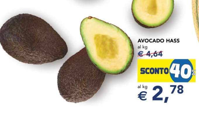 Avocado Hass