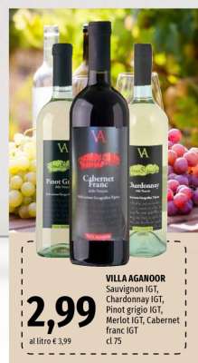 VILLA AGANOOR