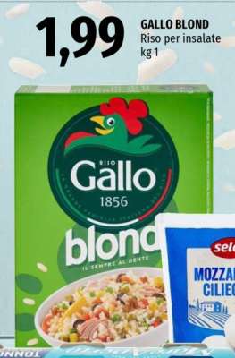 GALLO BLOND